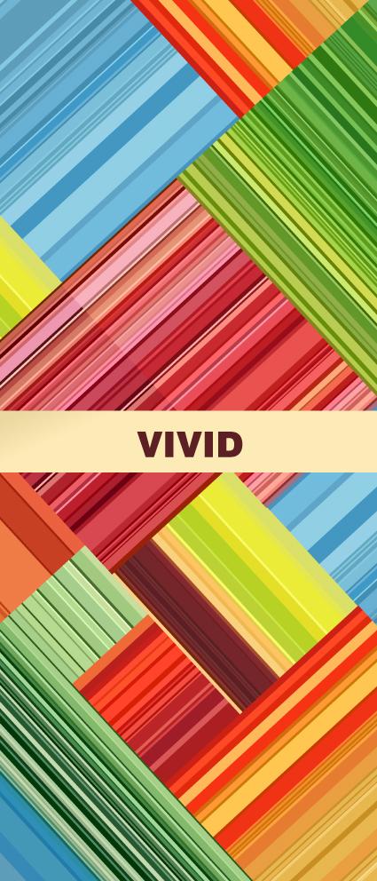 Vivid Collection